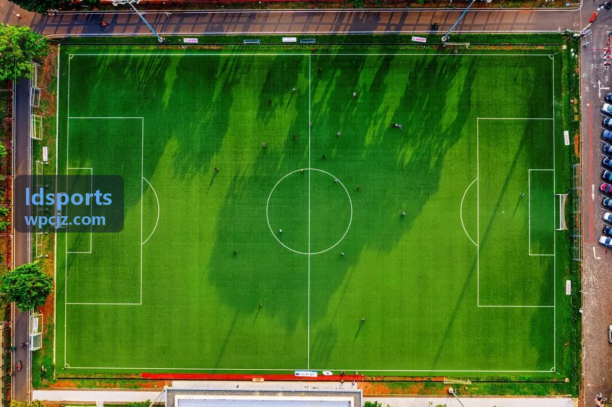 ldsports 赛事活动现场与训练课程画面